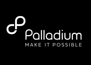 Palladium International Tanzania Jobs, Employment_500.png
